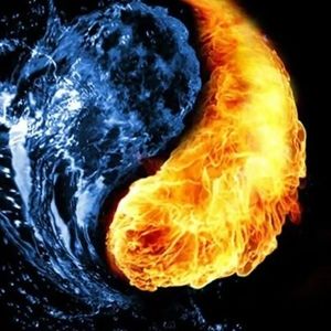 Meet your Posher, Stéphane